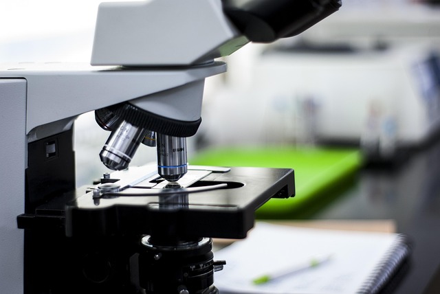 高回彈聚醚在制備高強度、高韌性聚氨酯彈性體中的應(yīng)用